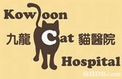 九龍貓醫院 
