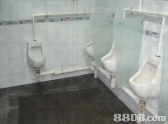 88DB.co  toilet