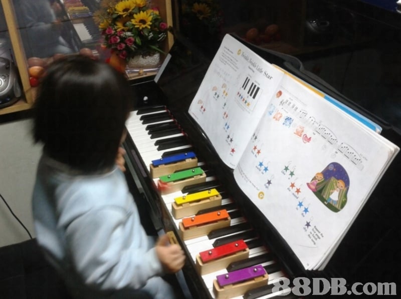 8DB.com  Musical instrument,Technology,Electronic device,Keyboard,Pianist