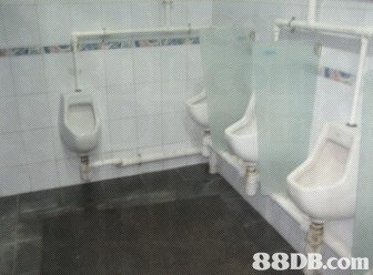 88DB.com  toilet