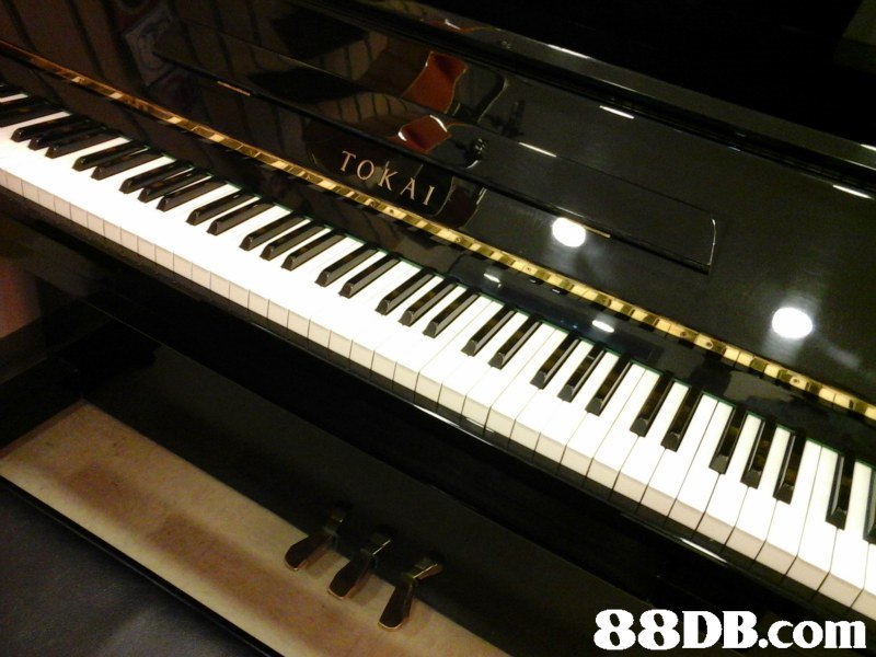 世界著名钢琴家的名字 L-3e3529f1-6afa-4980-8816-d0177194eedc.jpg