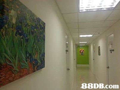 property,ceiling,real estate,area,