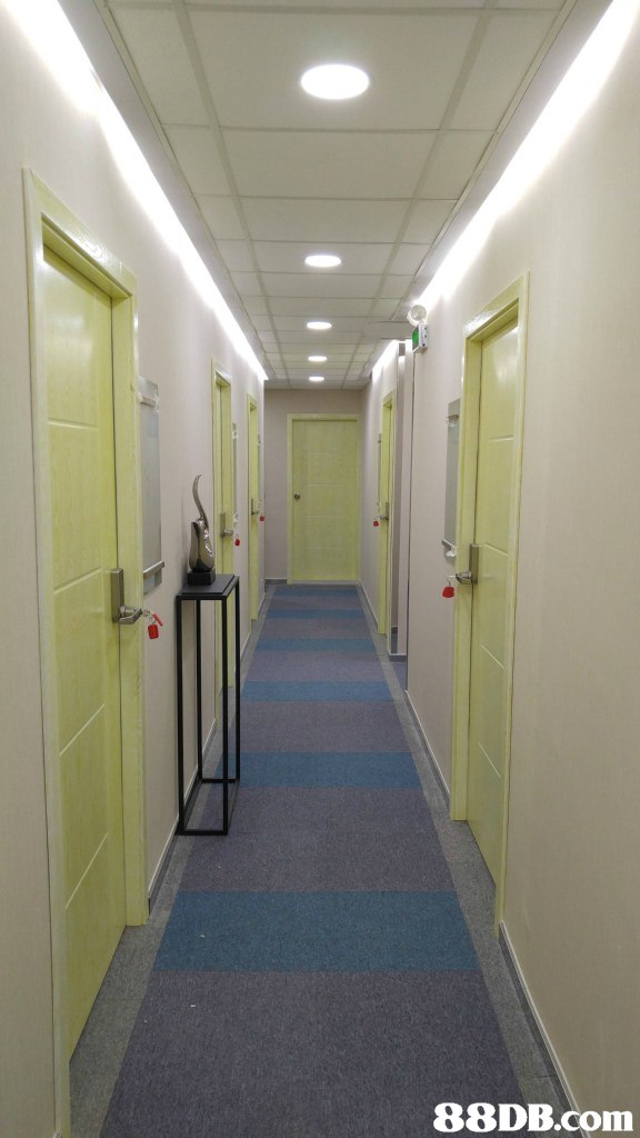 room,floor,ceiling,daylighting,real estate