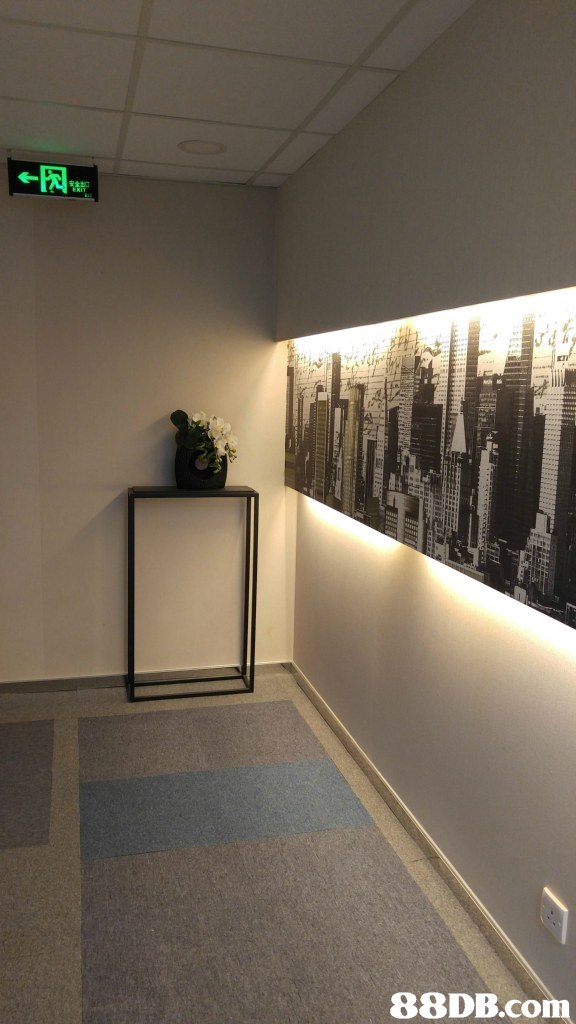 property,room,ceiling,wall,lobby