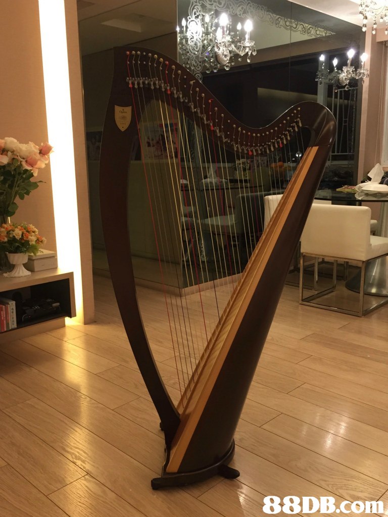 lyon and healy harp strings