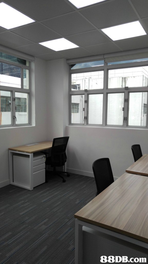 office,floor,interior design,daylighting,flooring