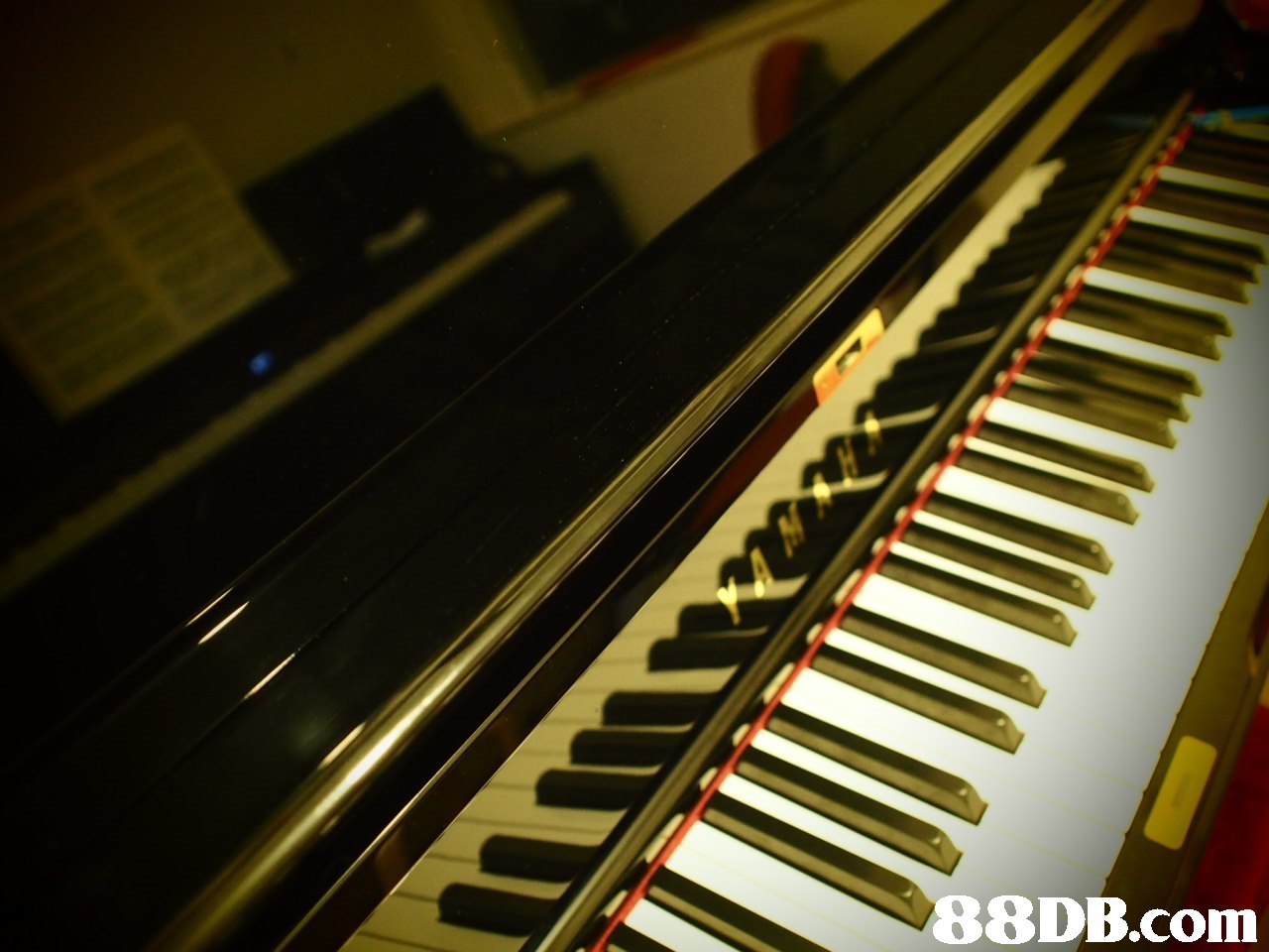 piano,musical instrument,keyboard,electric piano,player piano