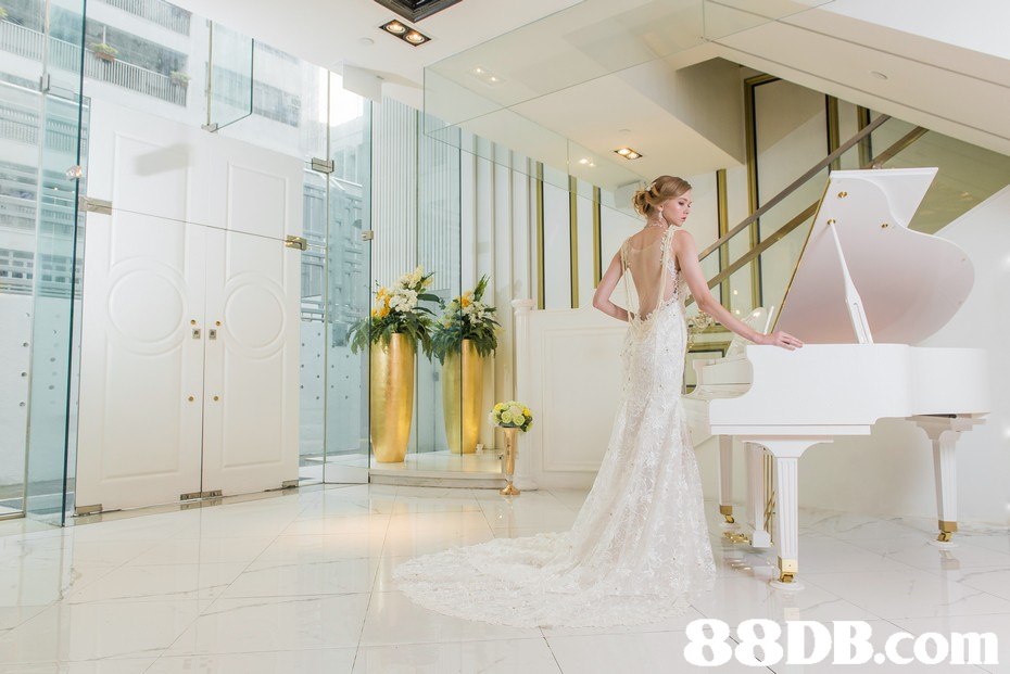   photograph,gown,bride,dress,wedding dress