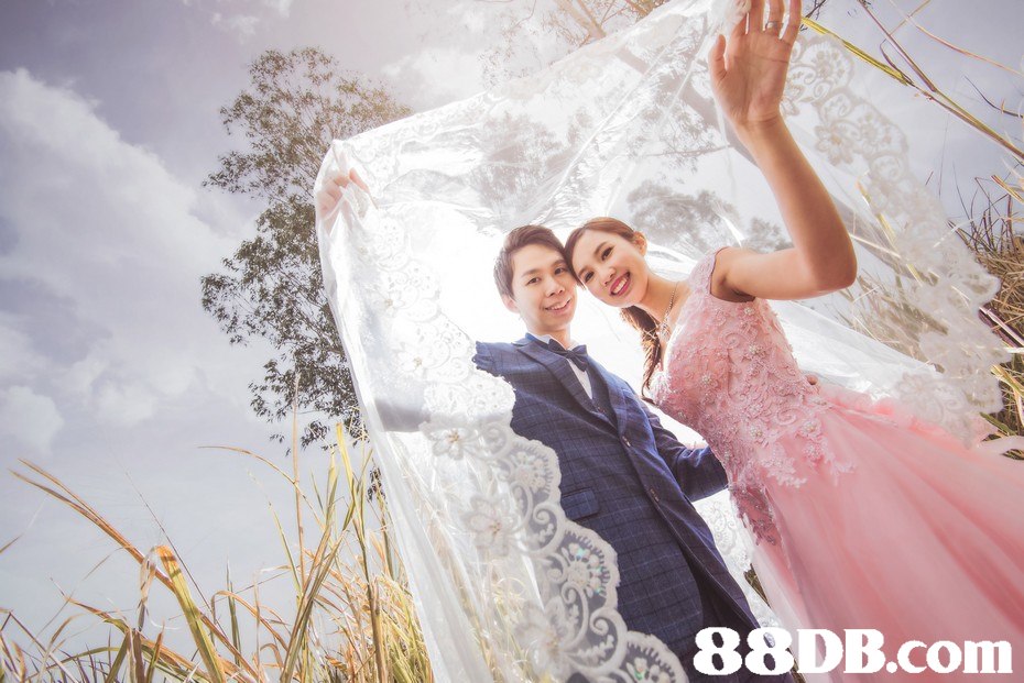   photograph,bride,gown,wedding dress,bridal clothing