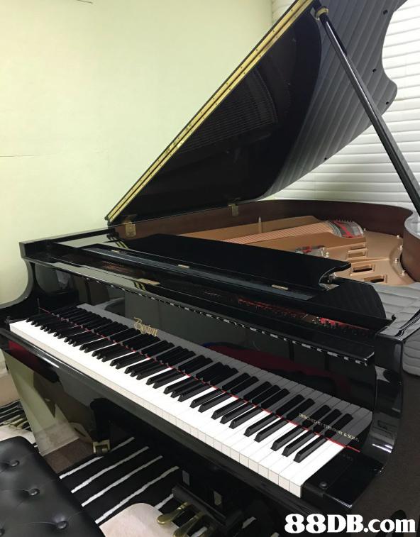 musical instrument,piano,keyboard,digital piano,player piano