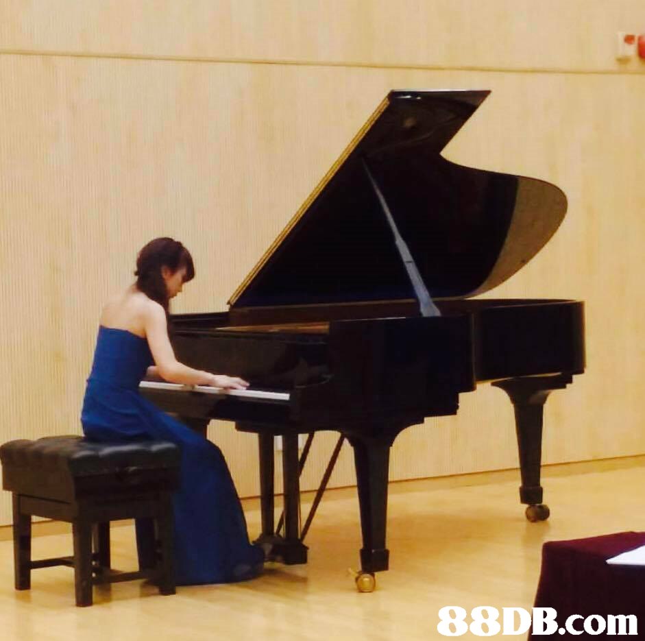 88DB .com,piano,pianist,keyboard,musical instrument,fortepiano
