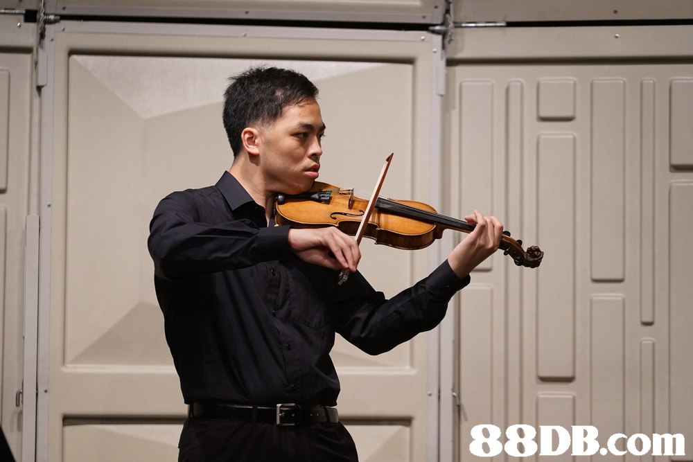 violin,violinist,violin family,violist,viola