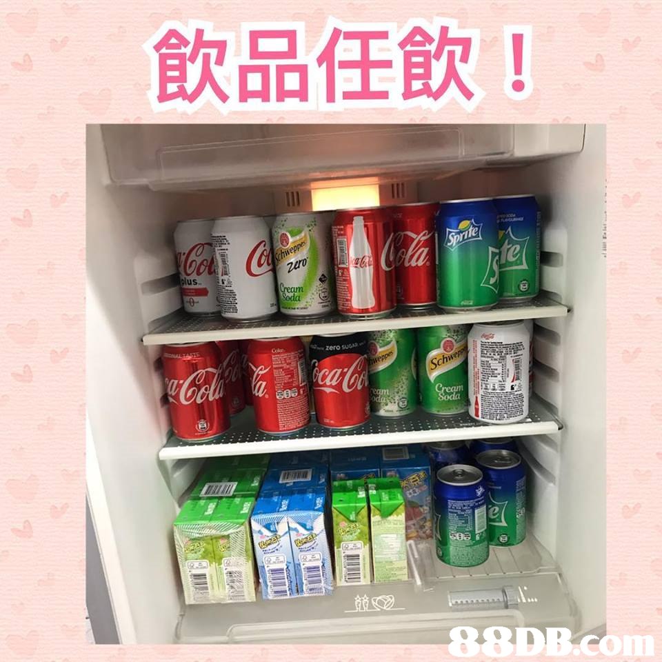 飲品任飲! fe te lus,Shelf,Product,Refrigerator,Plastic,