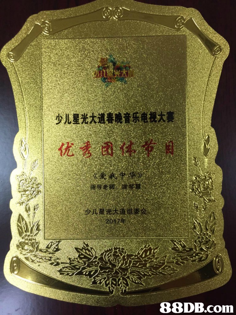 少儿星光大道春晚音乐电视大赛 少儿犯,Font
