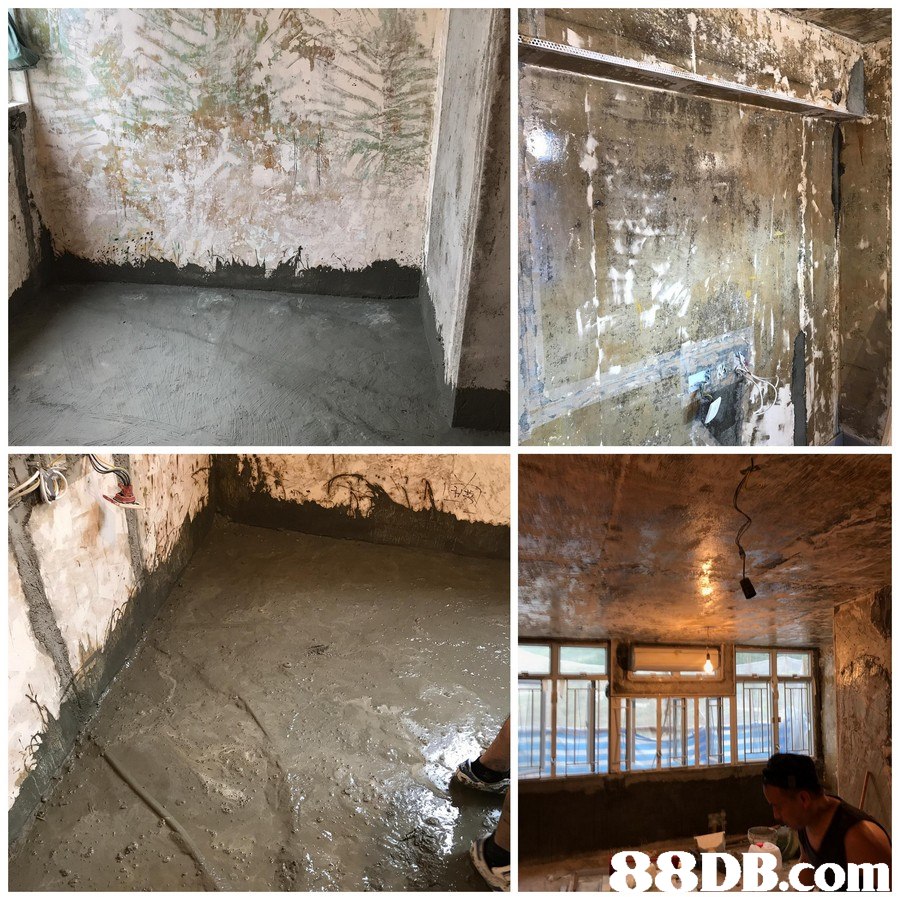 DB.Com,Wall,Floor,Room,Mold,Basement