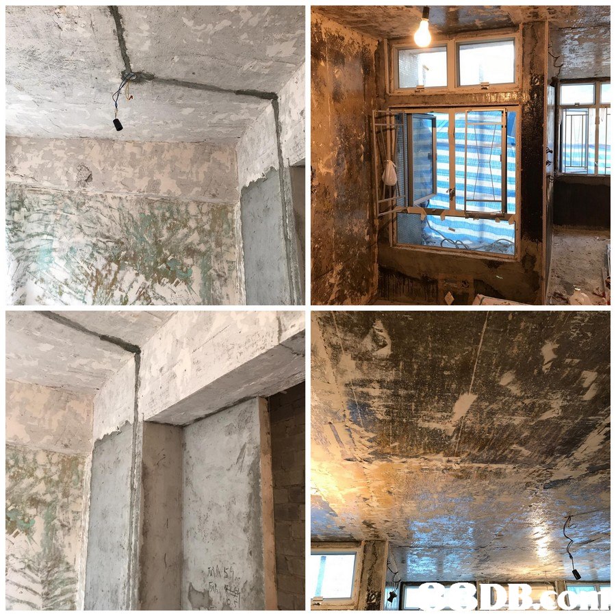 Photograph,Wall,Property,Ceiling,Window
