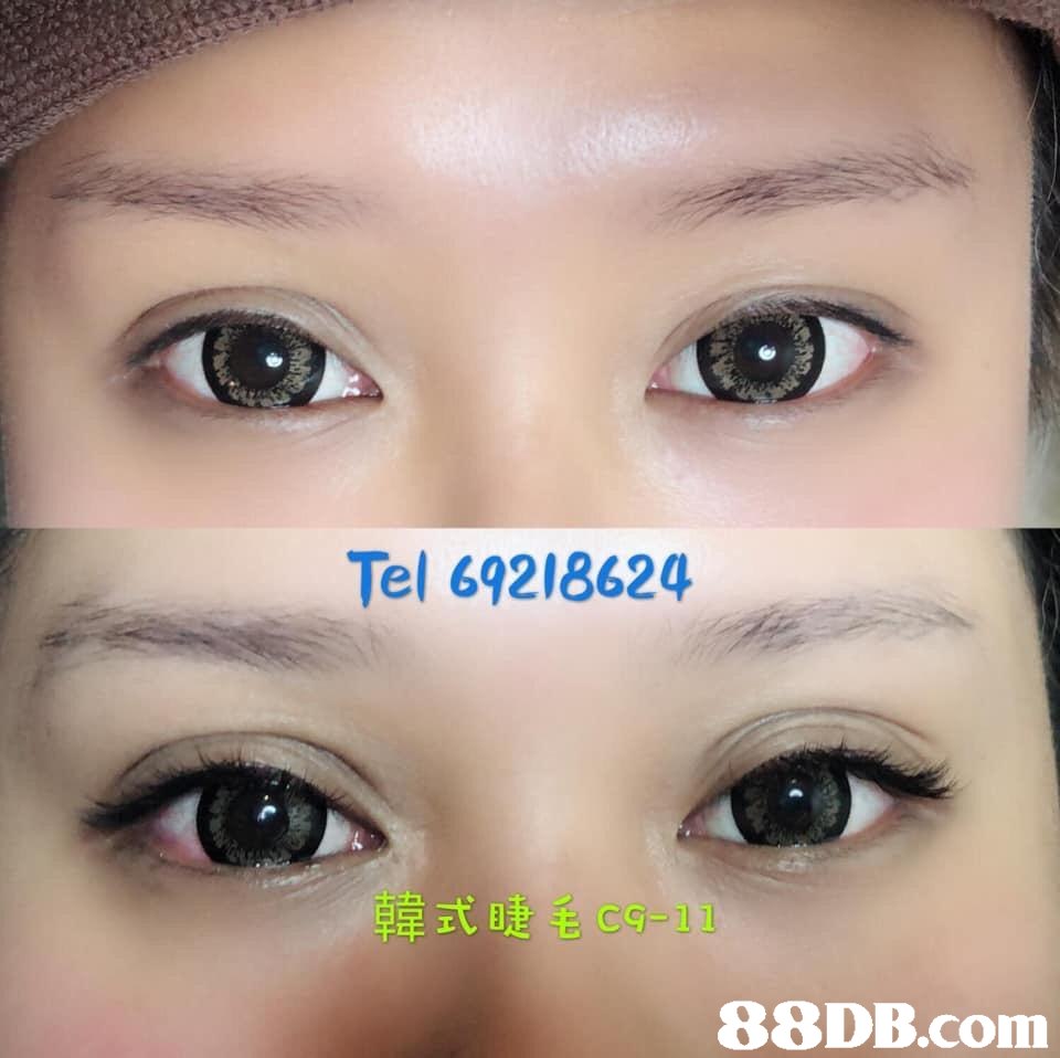 Tel 69218624 韓式睫毛c9-11 BRDR.COm,Eyebrow,Face,Eye,Nose,Forehead
